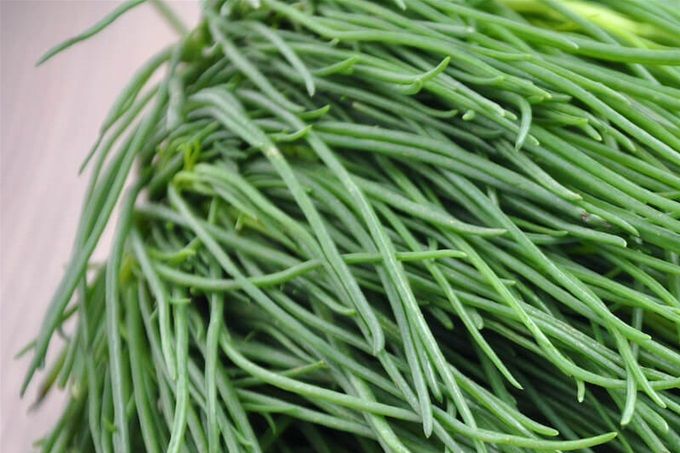 Die feinwürzige Mönchsbart Suppe 100 % Natura ist aktuell !!
